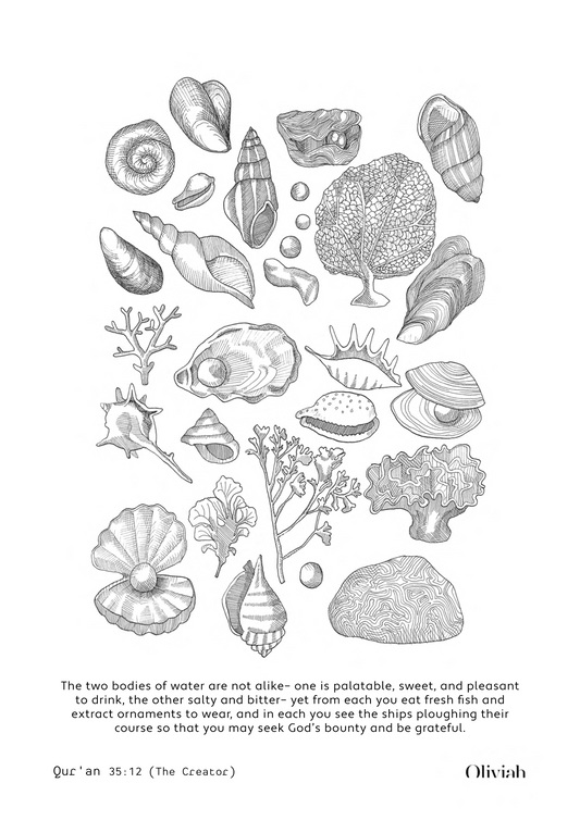 25 colouring sheets - Nature in the Quran