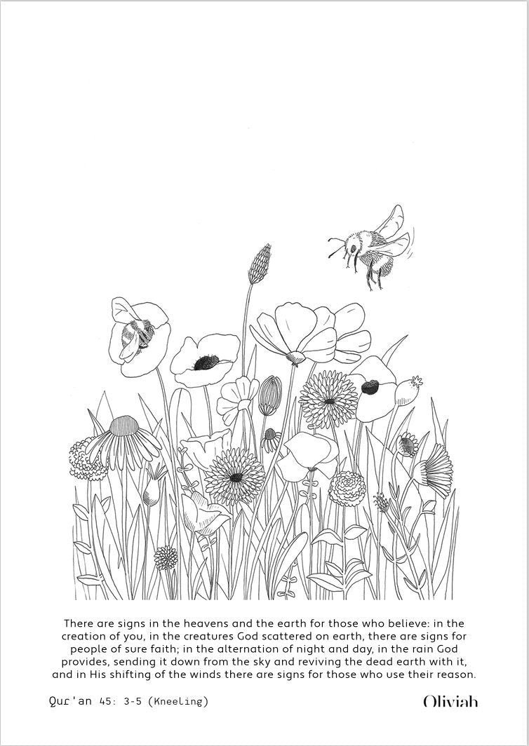 25 colouring sheets - Nature in the Quran
